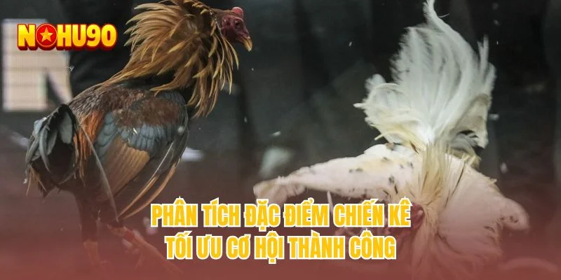 Phân tích đặc điểm chiến kê tối ưu cơ hội thành công